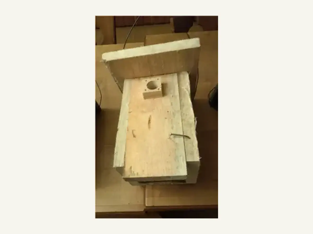 Kohlmeisen-Nistkasten aus Holz