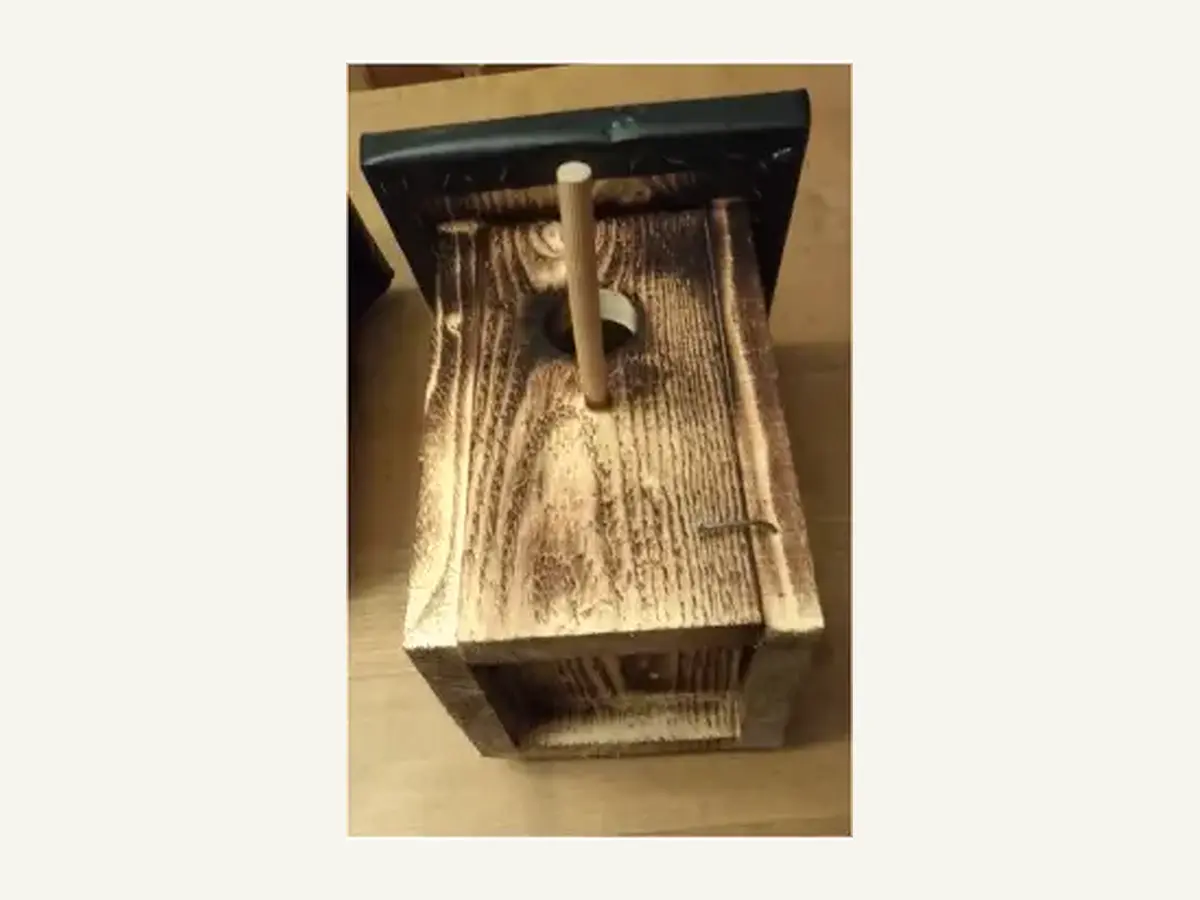 Starennistkasten aus Holz