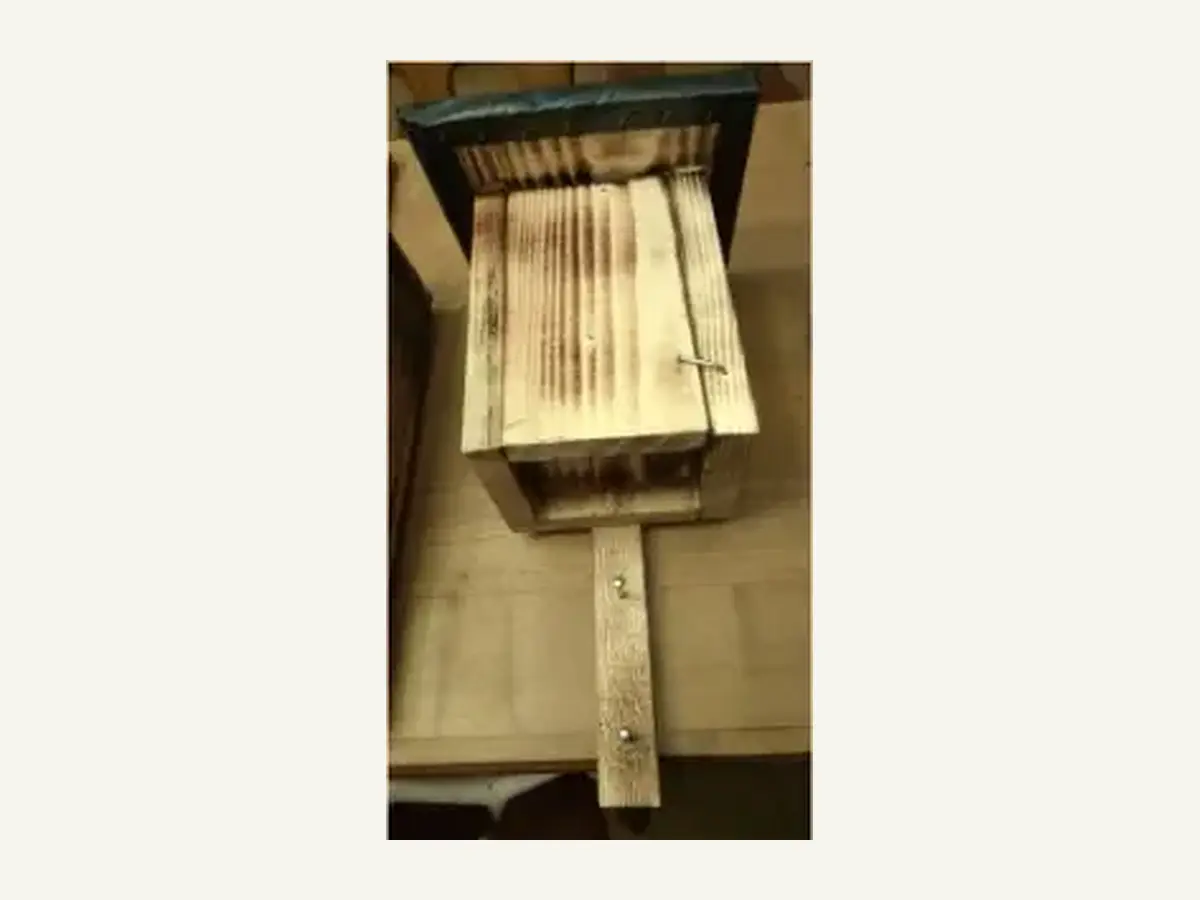 Baumläufernistkasten aus Holz
