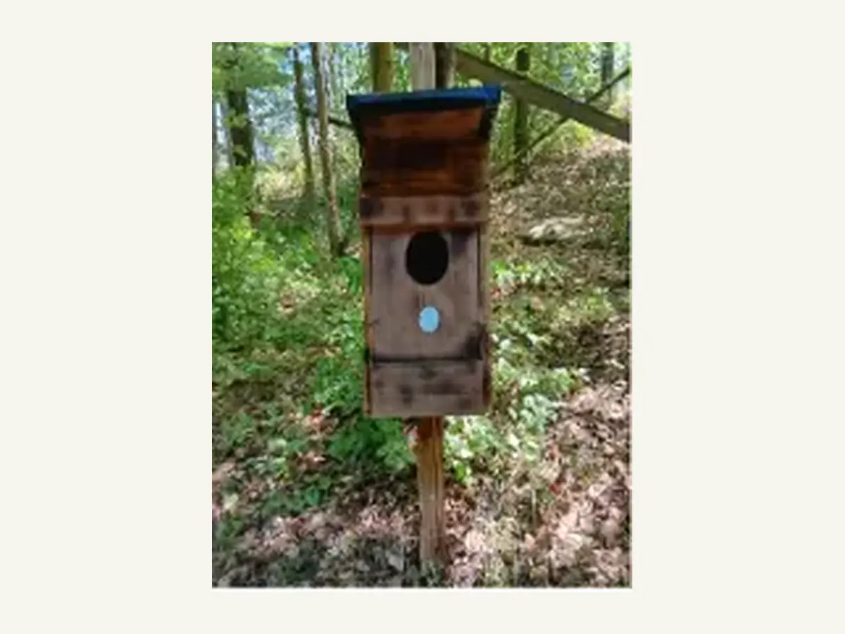 Eulennistkasten aus Holz