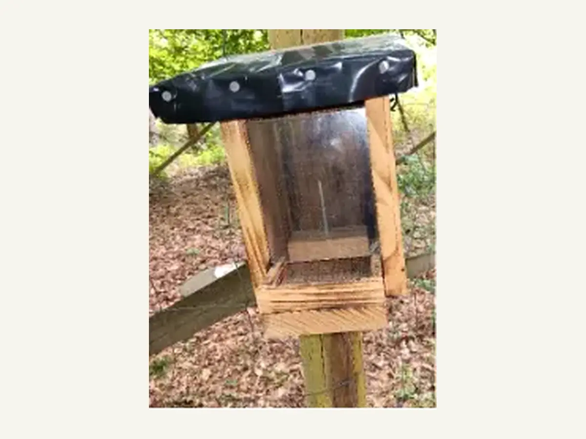 Vogelfutterspender aus Holz